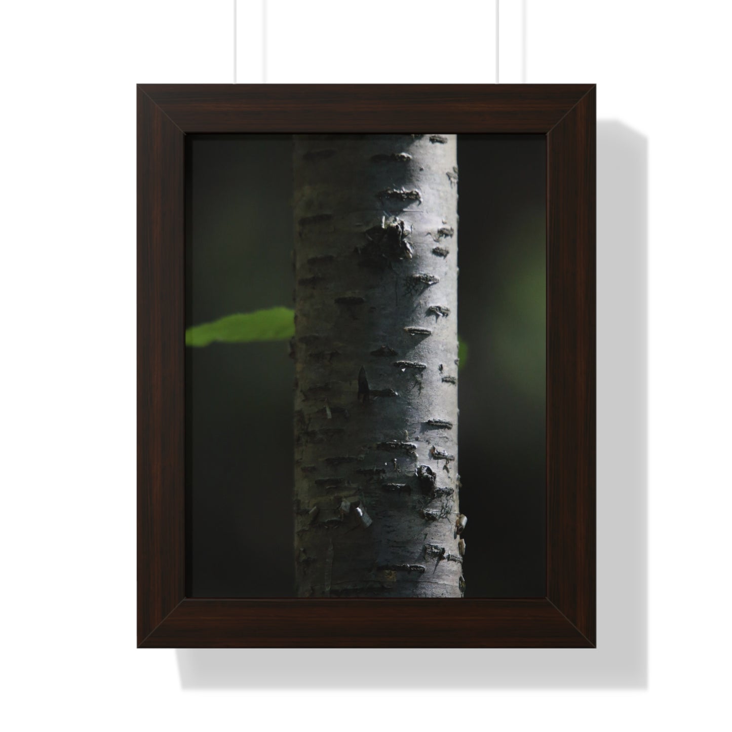 Birch Framed Vertical Poster