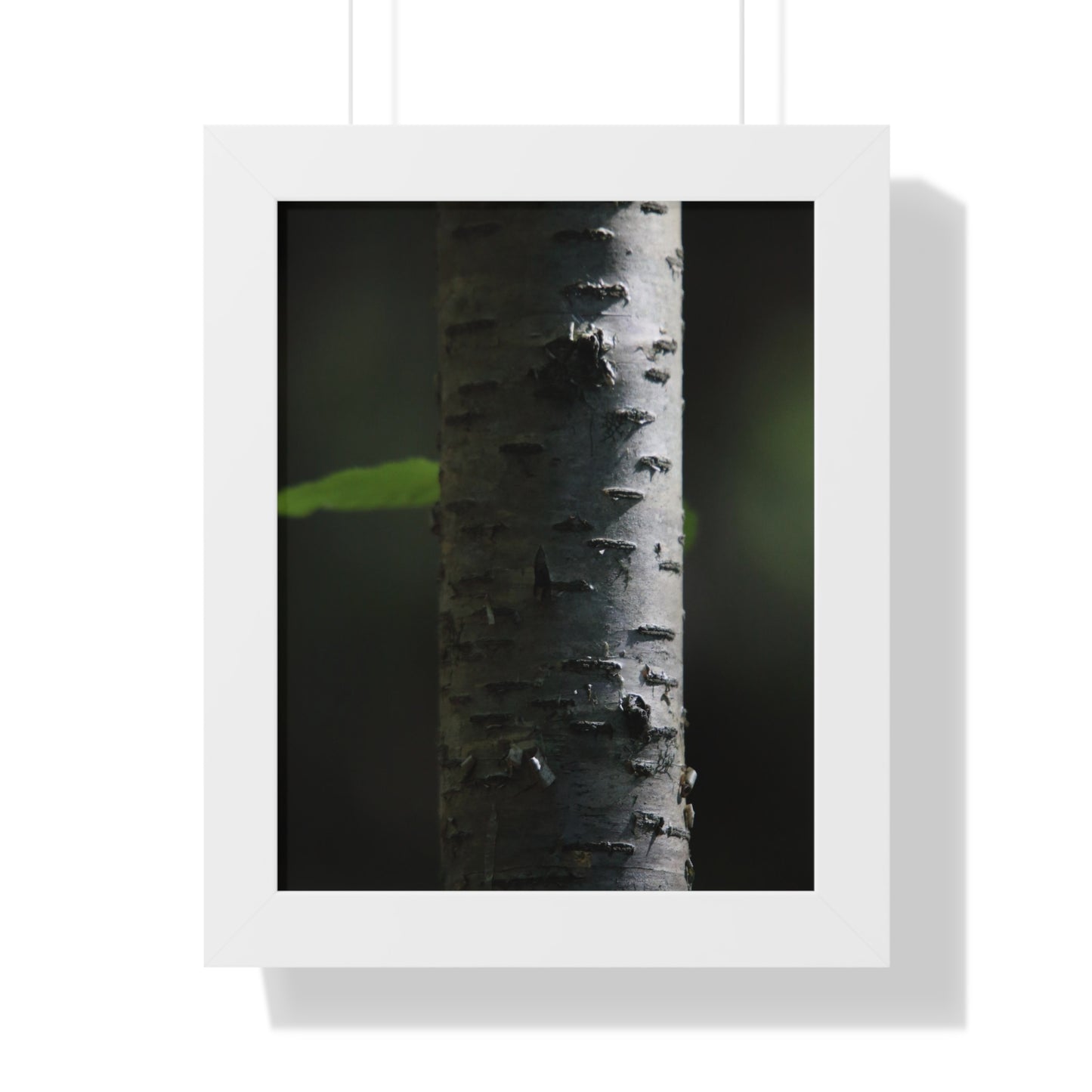 Birch Framed Vertical Poster