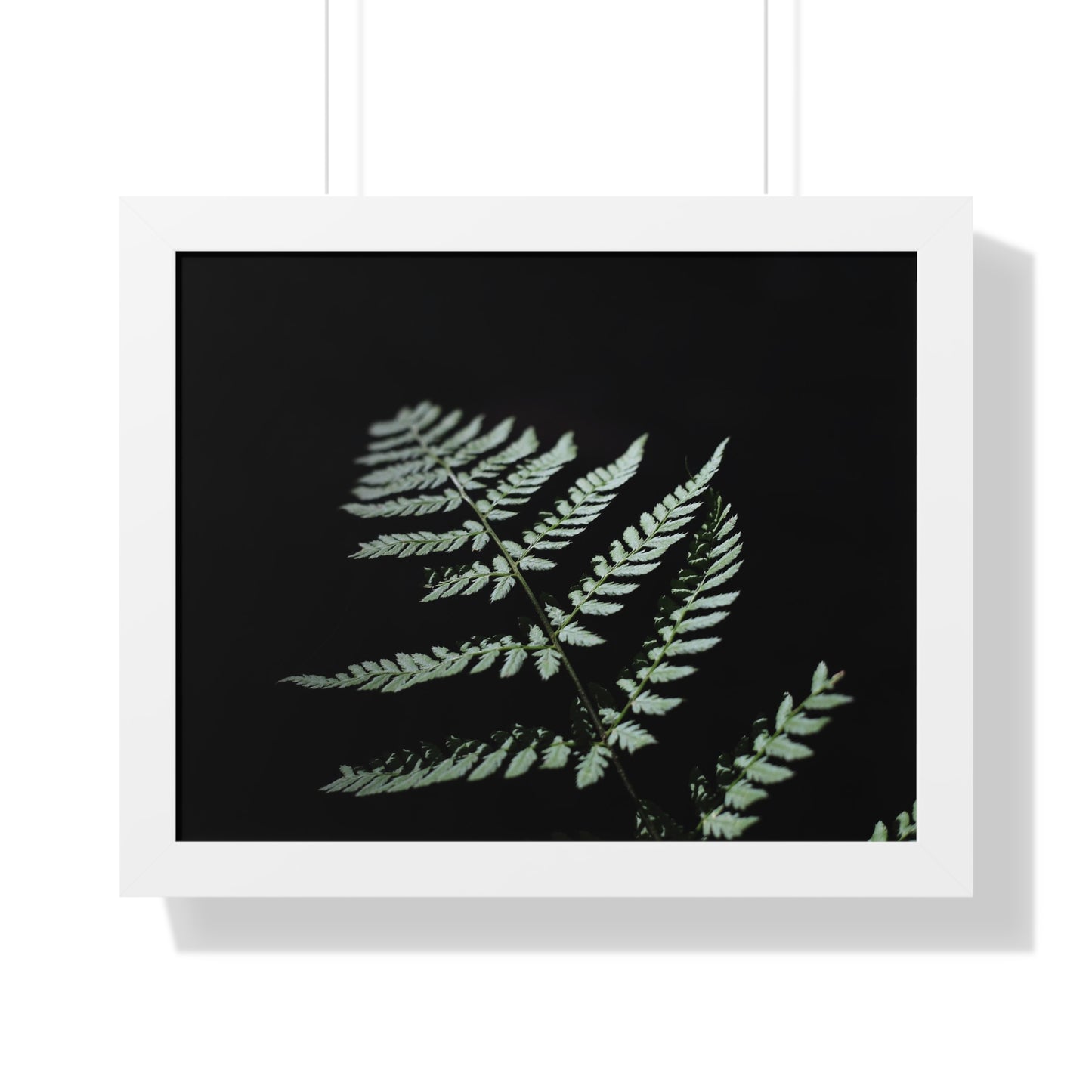 Minimalist Fern Framed Horizontal Poster