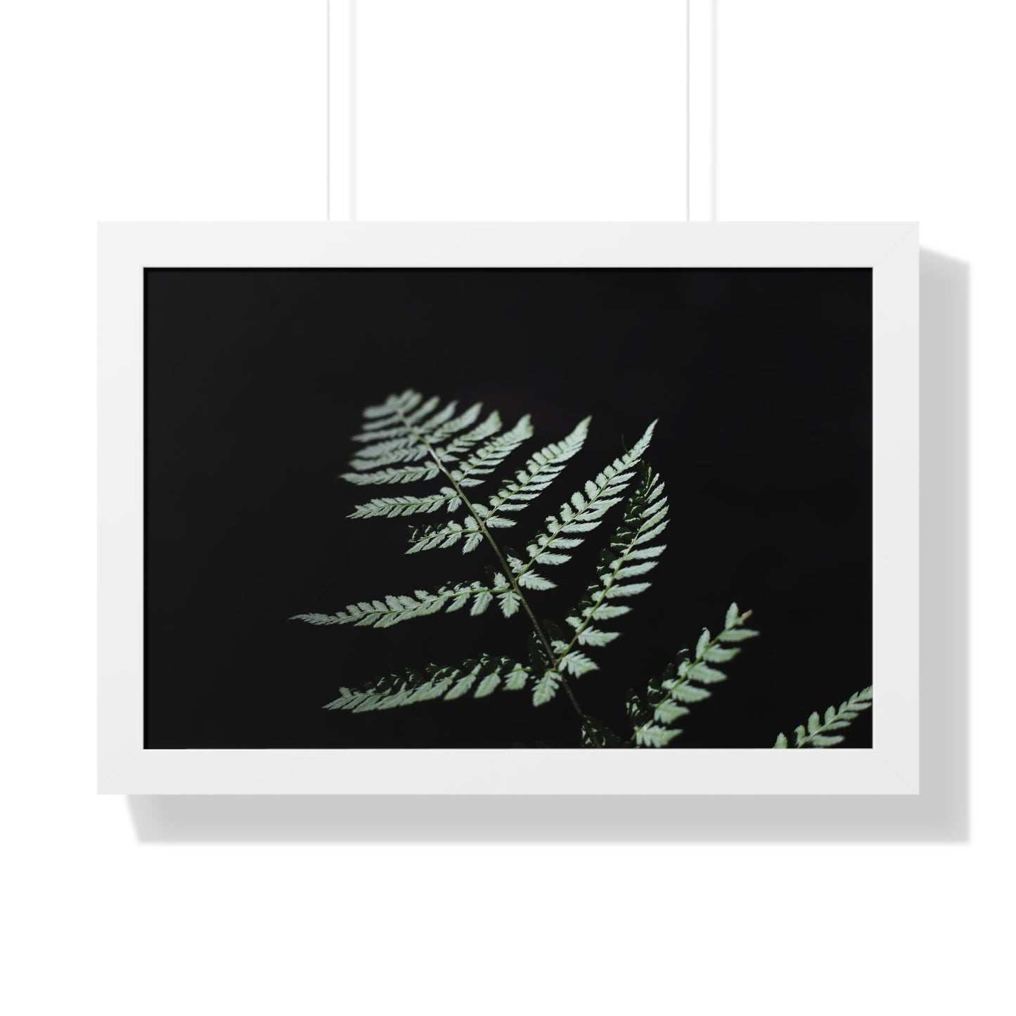 Minimalist Fern Framed Horizontal Poster