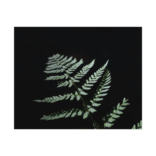 Minimalist Fern Poster