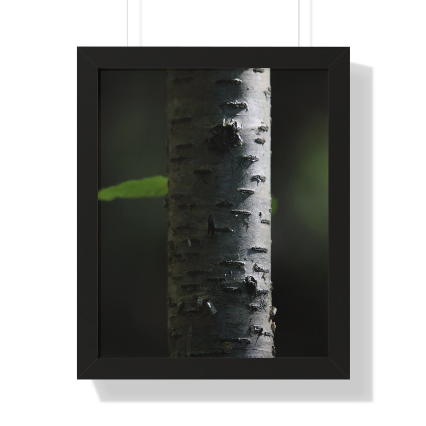 Birch Framed Vertical Poster