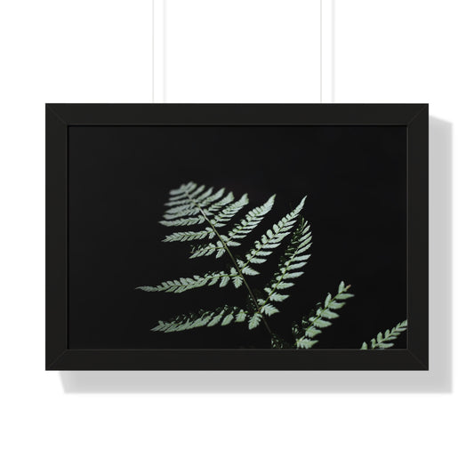 Minimalist Fern Framed Horizontal Poster