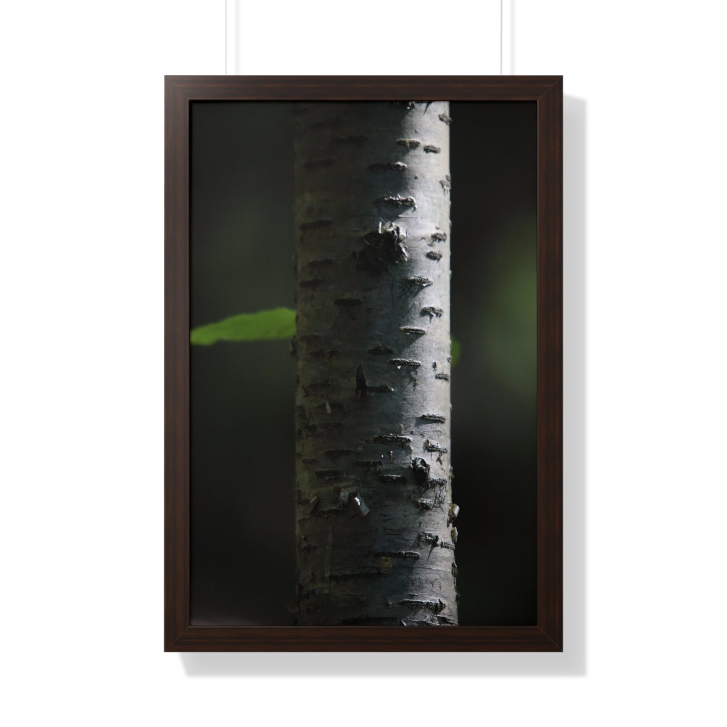 Birch Framed Vertical Poster