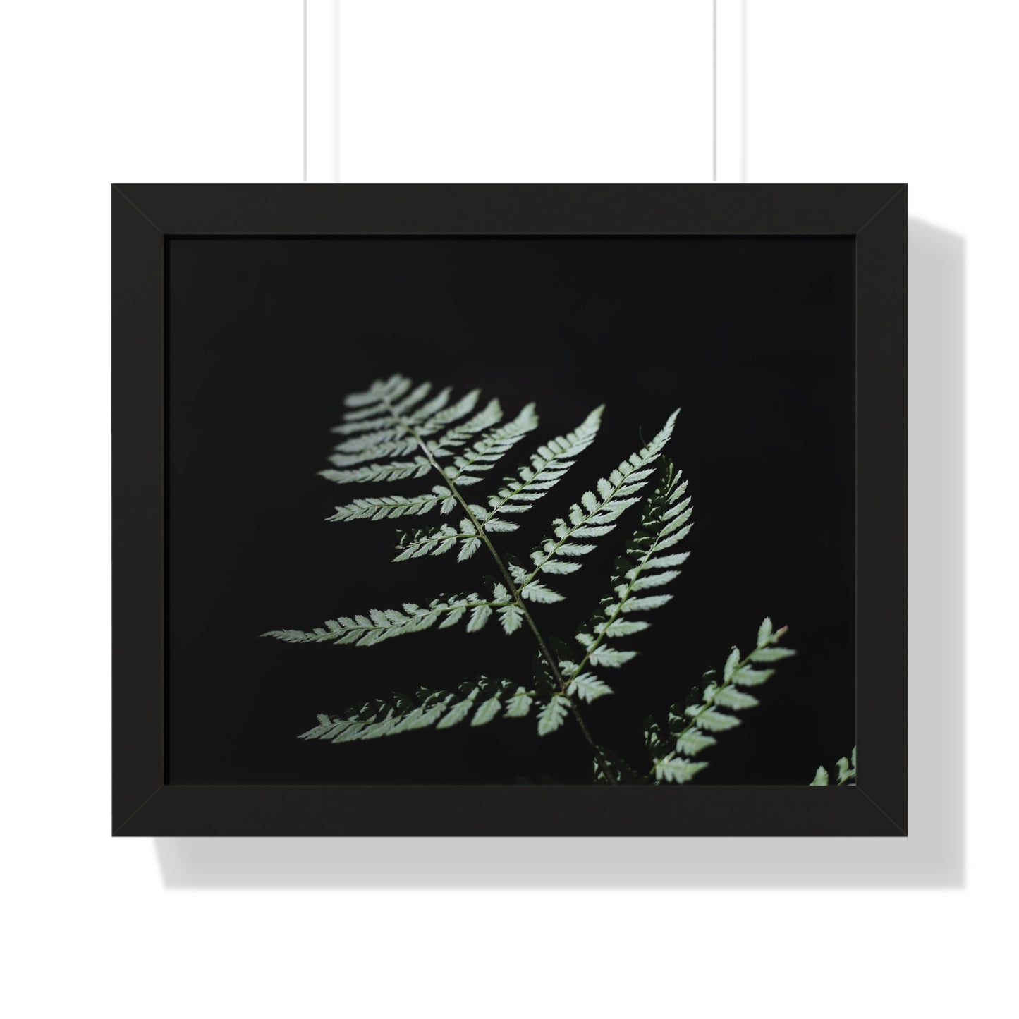 Minimalist Fern Framed Horizontal Poster