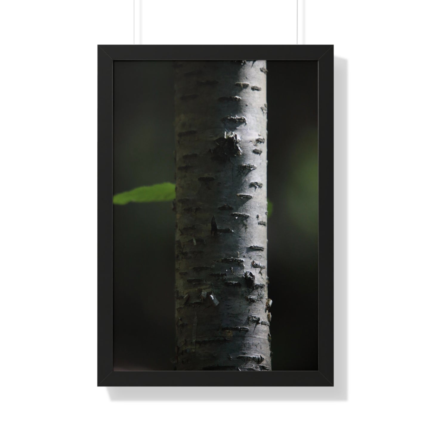 Birch Framed Vertical Poster