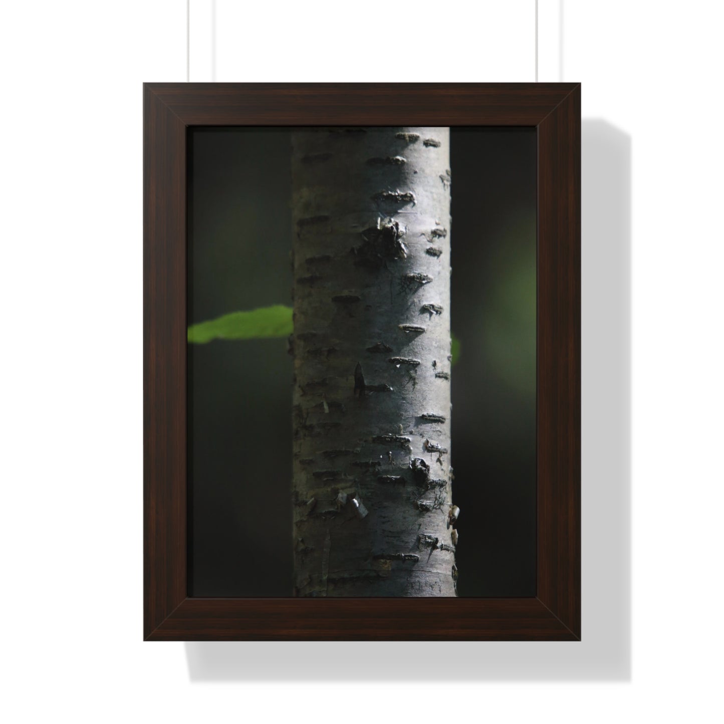 Birch Framed Vertical Poster