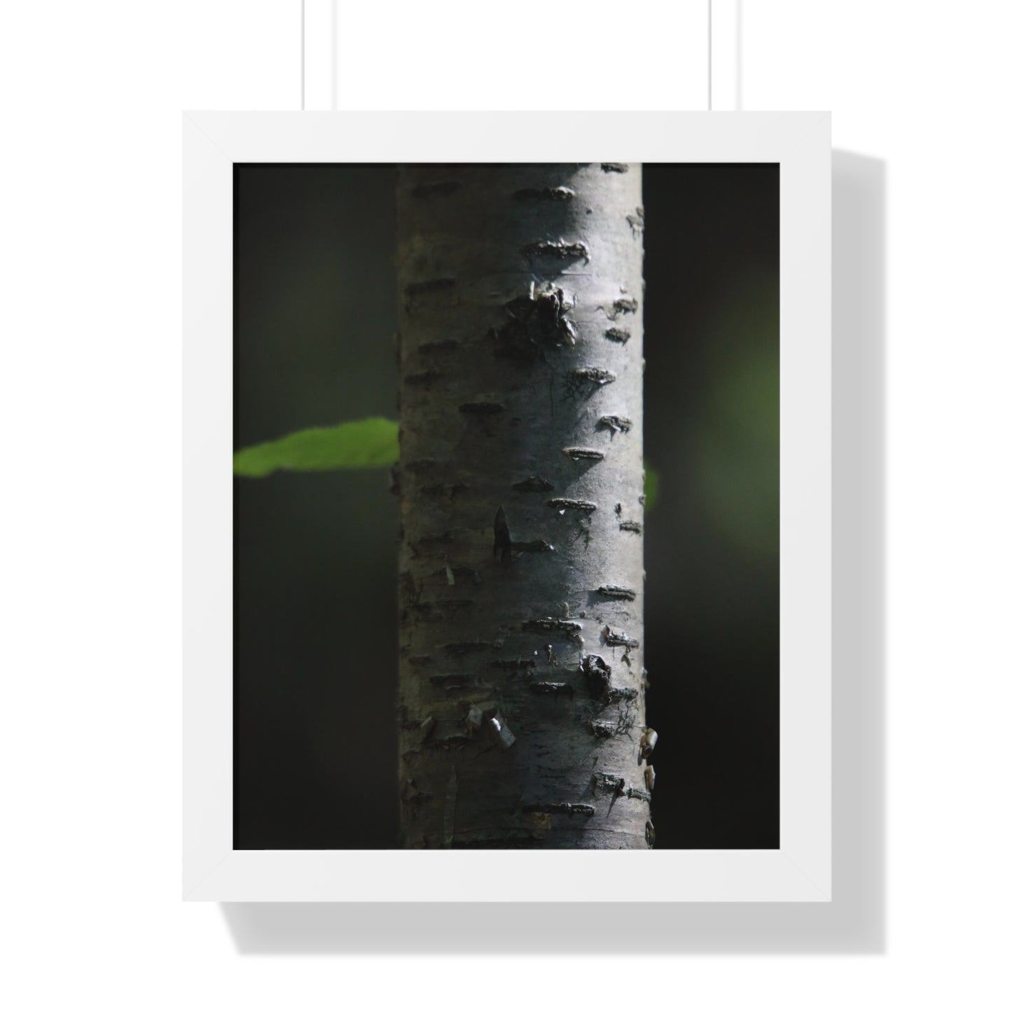 Birch Framed Vertical Poster