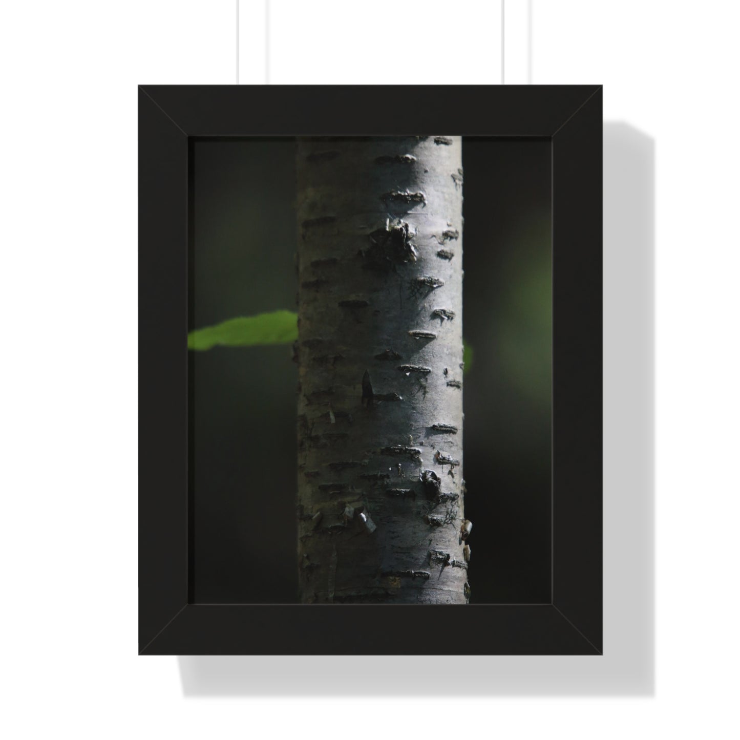 Birch Framed Vertical Poster