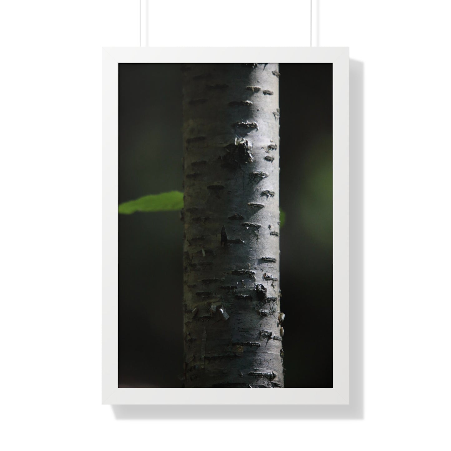 Birch Framed Vertical Poster