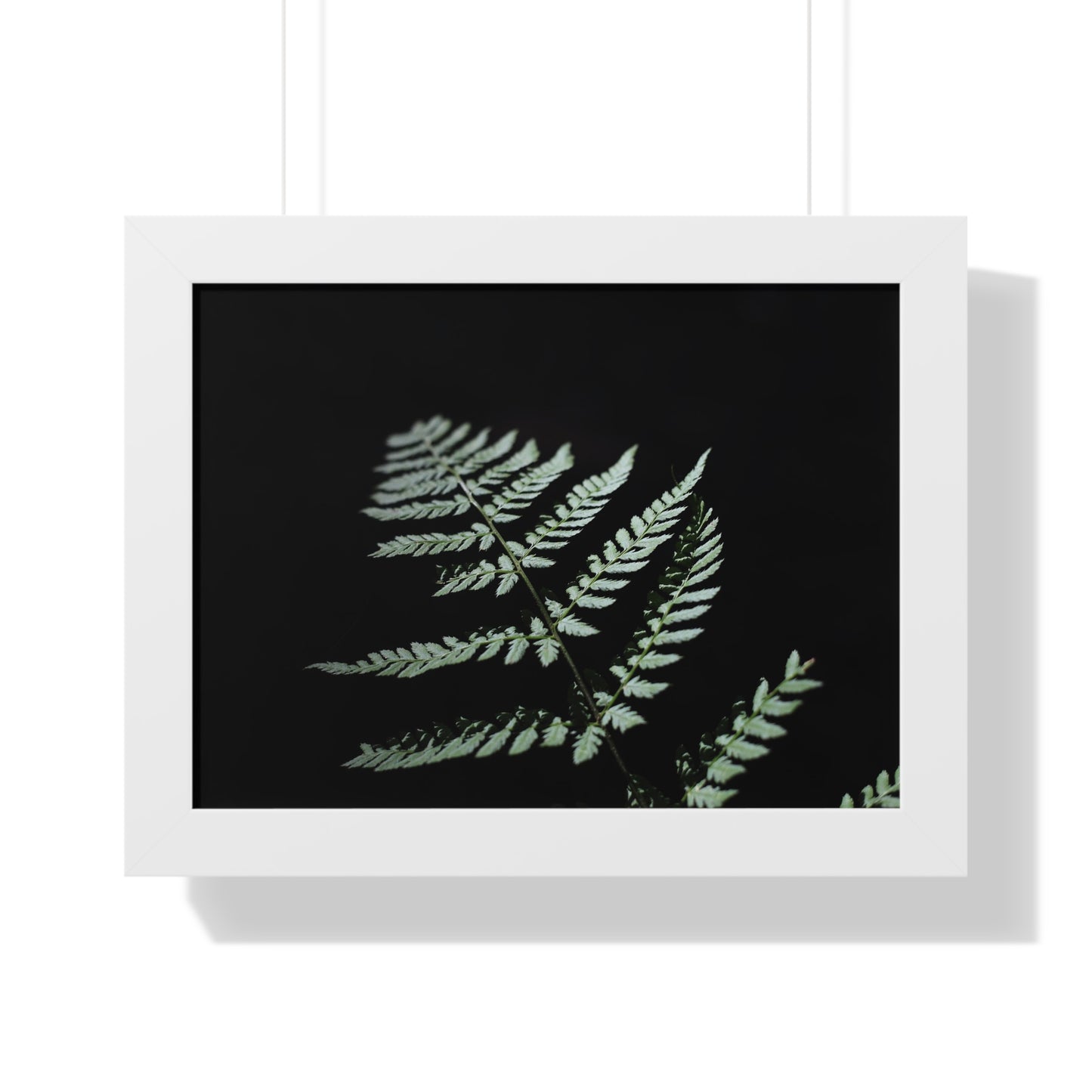 Minimalist Fern Framed Horizontal Poster