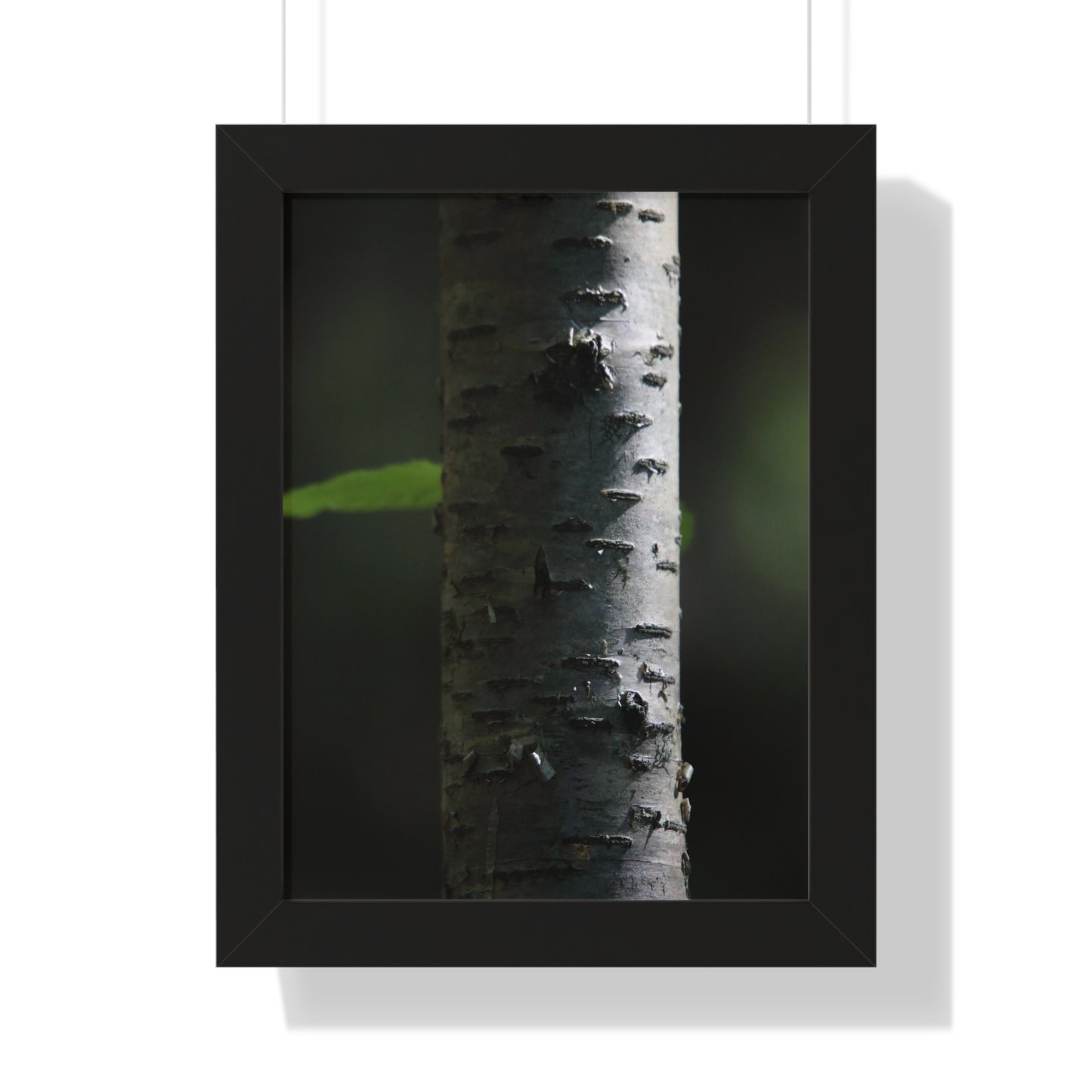 Birch Framed Vertical Poster