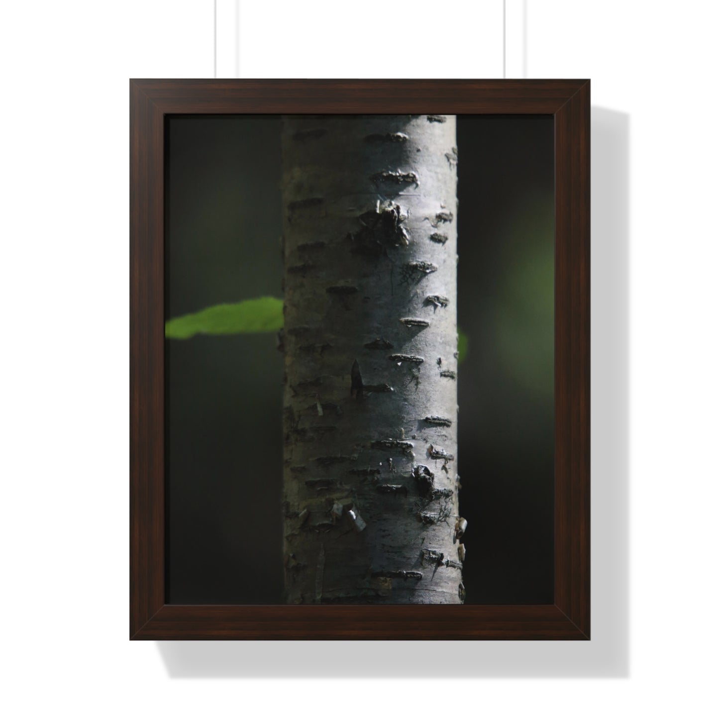 Birch Framed Vertical Poster